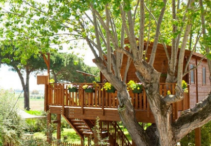 Weekend in casa sull'albero